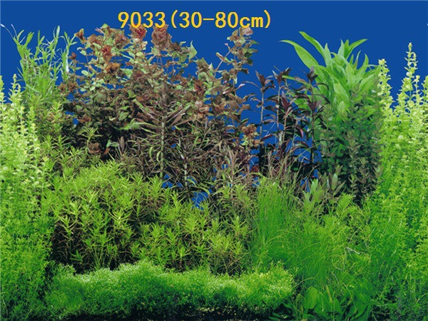 30cm tall, single-sided thin aquarium fish tank background painting, aquarium equipment and supplies glass sticker background painting pic 49