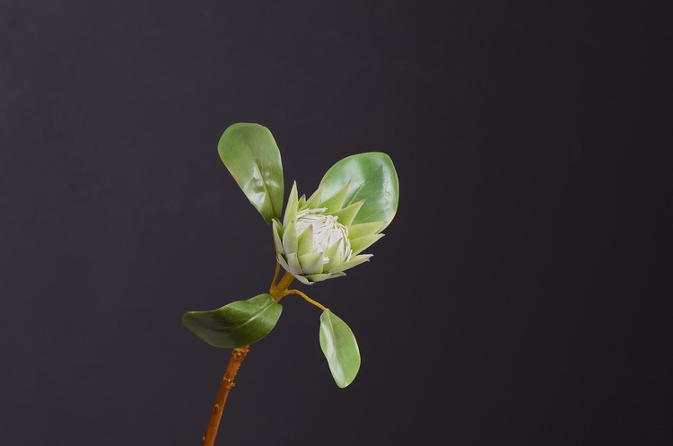 Dongli Flower Industry Factory offers direct sales and wholesale of tropical flowers, including simulated little emperor flowers, Nordic minimalist living room and home decoration simulated flowers, as well as entrance and table flowers pic 10