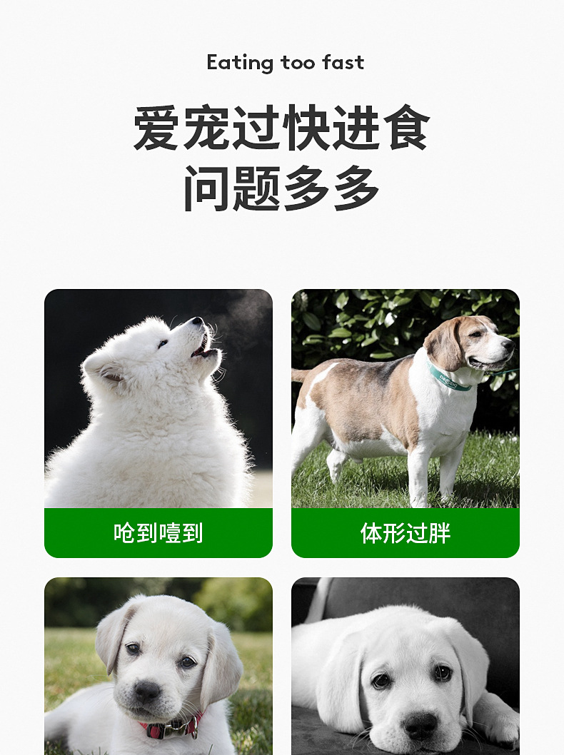 Pet anti-choking slow food mat durable and chewy silicone dog slow food mat anti-slip and safe pet health slow food mat pic 3