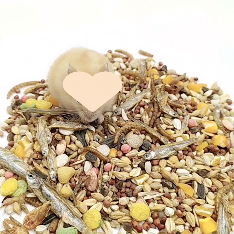 仓鼠粮批发粮食营养主粮罐装五谷海鲜混合金丝熊食物面包虫用品详情7