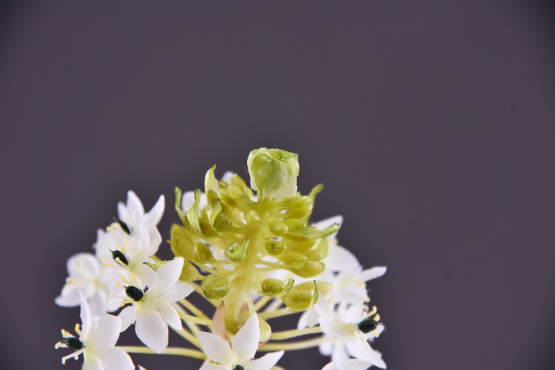 High-end artificial flower wholesale with simulated Bethlehem Star line floral design and simulated velvet decorative artificial flowers pic 8