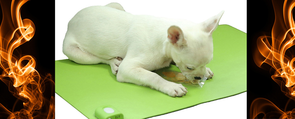 Factory direct sales of heating dog beds, waterproof dog heating pads, pet warmth pads, electric heating pads, 24V safe voltage pic 2