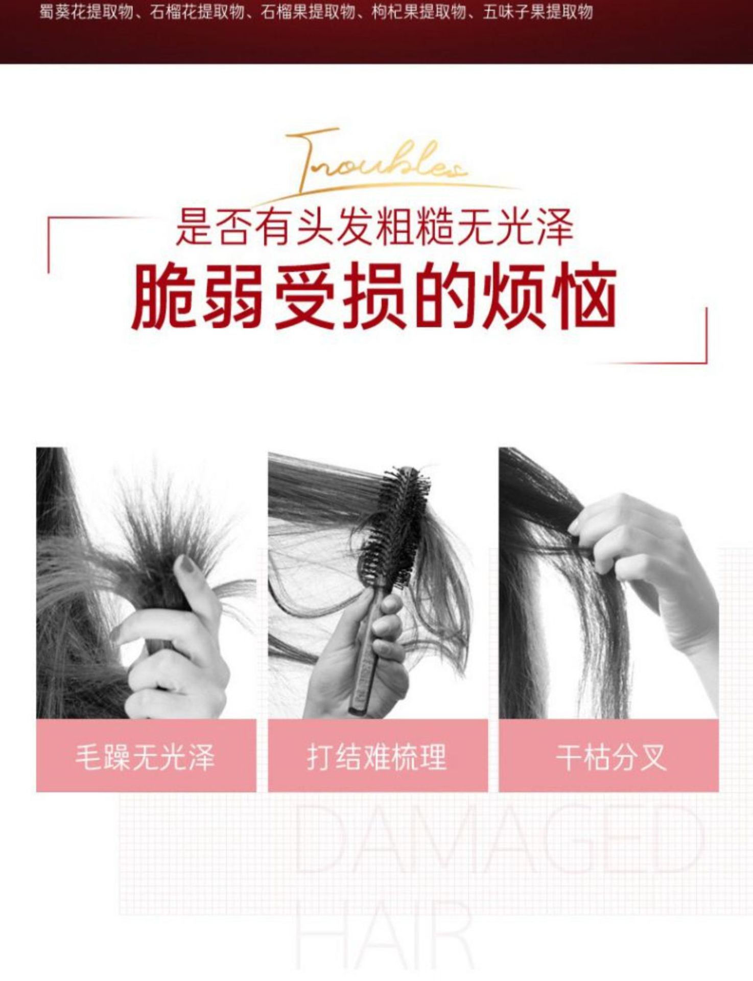 红吕洗发水紫黑蓝吕洗发水控油去屑止痒洗头膏柔顺护发素正品批发详情2