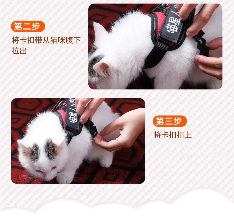 Cat and dog pet chest and back straps, dog supplies, pet leashes, dog chains, cat supplies pic 7