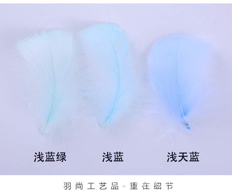 厂家直销优质天鹅毛 DIY彩色小飘羽毛 舞台服饰装饰辅料羽毛批发详情11