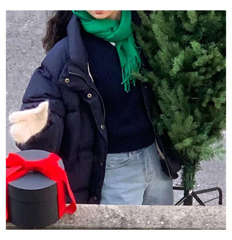 2022 Winter new style of Korean Dongdaemun th*bar*net stand-up collar 90 white duck down down jacket for women in stock pic 22