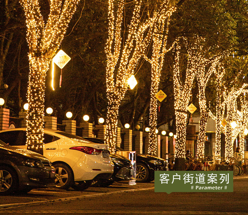 户外防水LED彩灯闪灯串灯满天星七彩氛围灯卧室装饰树灯瀑布灯带详情26