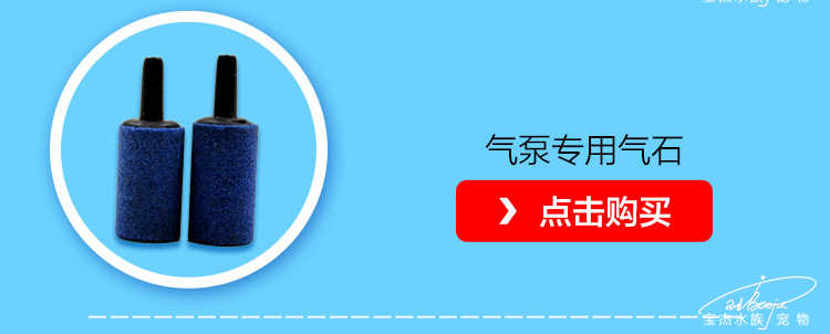 Fish tank oxygenation pump, single-hole fish oxygenation pump, oxygenation machine, aquarium supplies manufacturer wholesale RS-248A pic 31