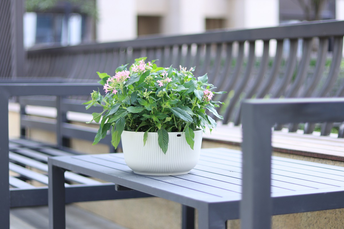 悬挂家居阳台吊篮花盆花篮藤编装饰北欧现代风格绿萝园艺义乌出口悬挂家居阳台吊篮花盆花篮藤编装饰北欧现代茏达森园艺详情28