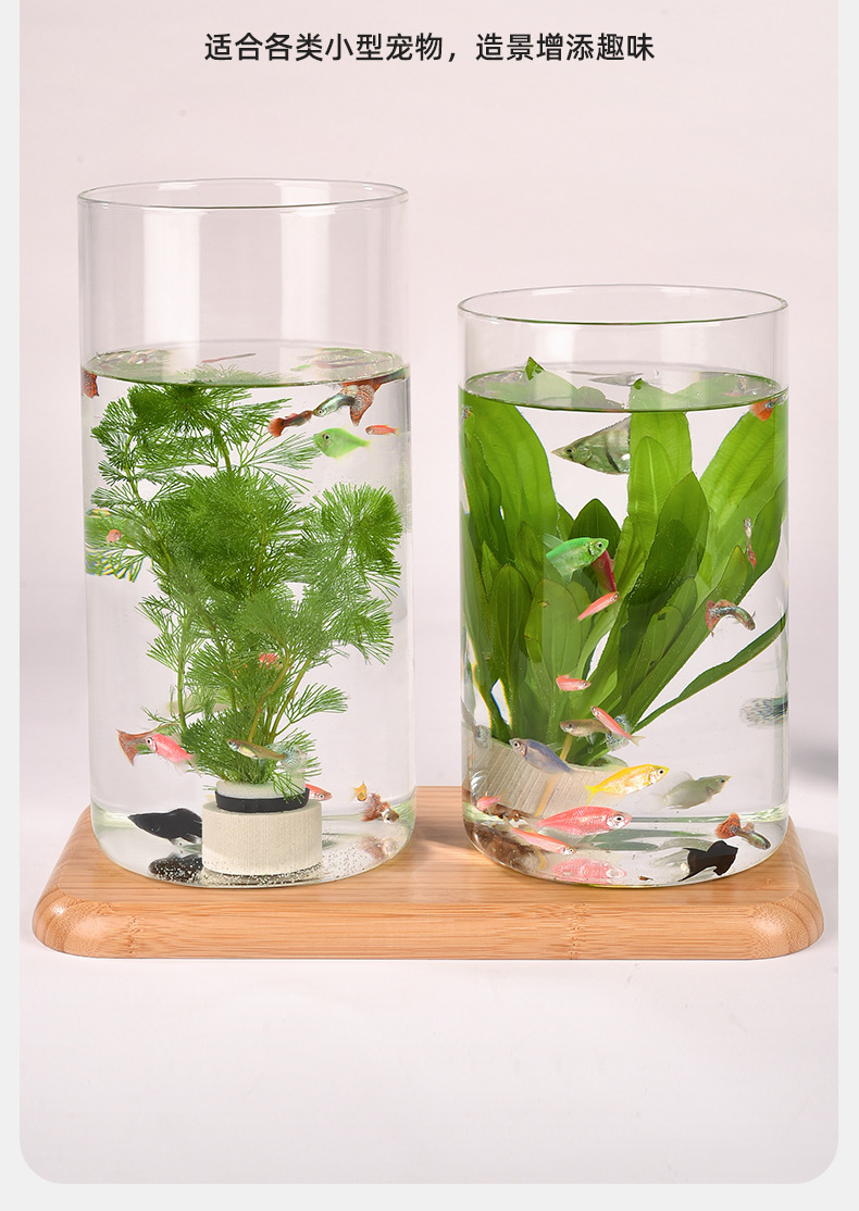 Wholesale transparent micro-landscape glass vase ornaments, hydroponic ecological bottles, diy moss tanks, succulent flower POTS, glass jars pic 24