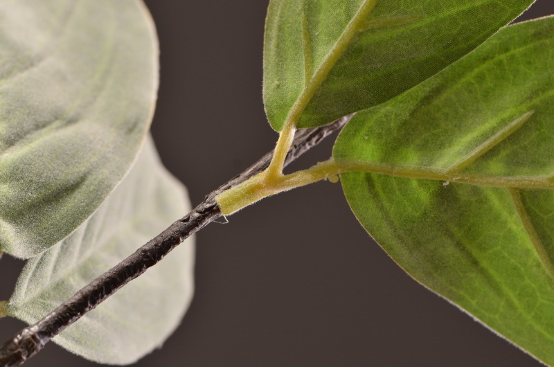 Factory direct sales of artificial leaves, wholesale of flocking artificial paulownia leaves, flower arrangement leaf materials, photography props, artificial green plants pic 9