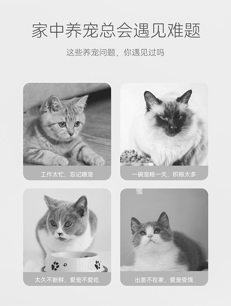 Cat double-bowl automatic drinking and feeding device integrated, dog and cat drinking and food bowl, cat bowl, dog food bowl, pet supplies pic 2