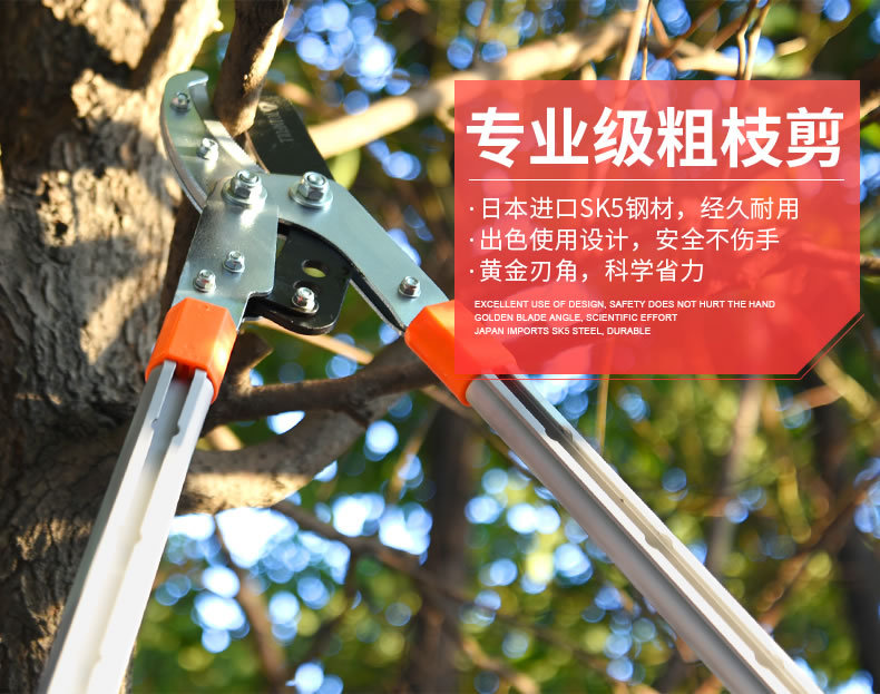 金聚丰大力剪伸缩粗枝剪高枝修枝剪果树枝绿化花艺园林用品详情1