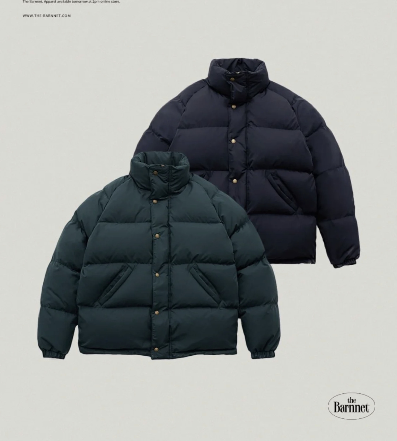 2022 Winter new style of Korean Dongdaemun th*bar*net stand-up collar 90 white duck down down jacket for women in stock pic 48