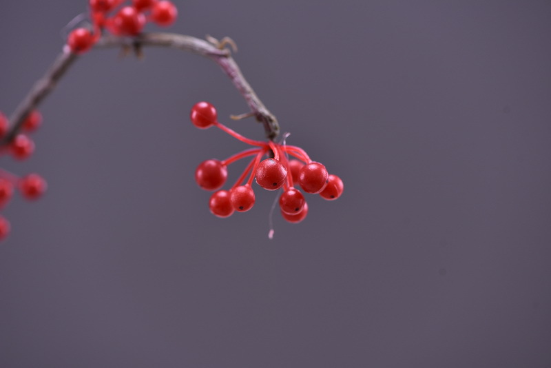 Lanjin Artificial Fruit Factory Direct Sales, wholesale of artificial berries, artificial green vine fruits, Chinese modern and simple decoration, winter green fruits, and mountain prosperity fruits pic 5