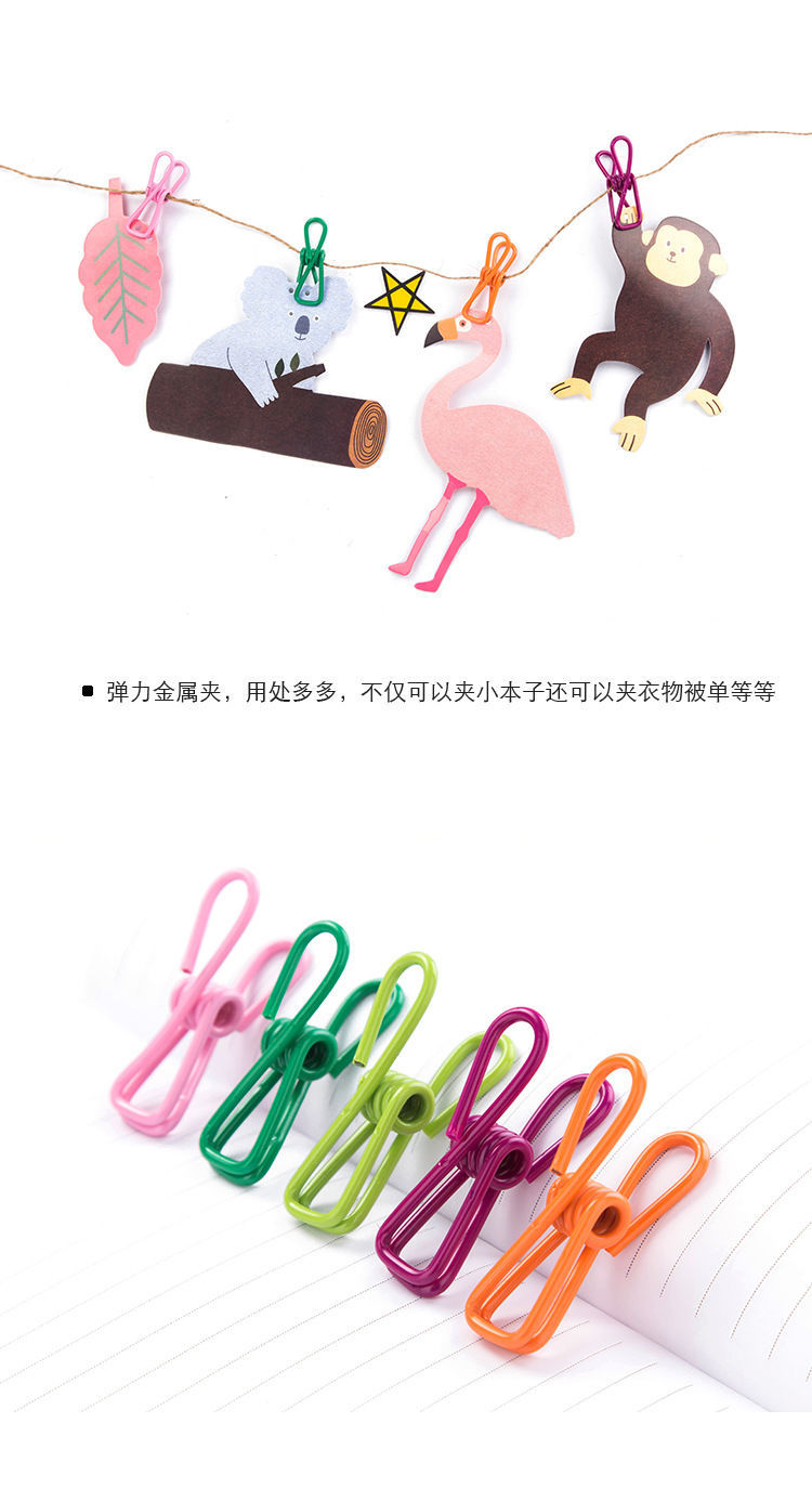 多用途夹子 优质彩色 神器收纳封口夹晒衣夹子旅行户外袜子夹单个详情5