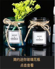 Simple transparent glass vase, two-color diamond, fresh and delicate flower arrangement, retro colorful craft display piece pic 8