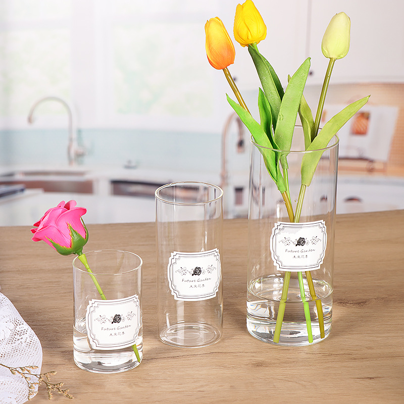 Nordic straight tube vase, simple transparent glass vase, home fresh flowers, hydroponic decoration, living room glass vase ornaments pic 8