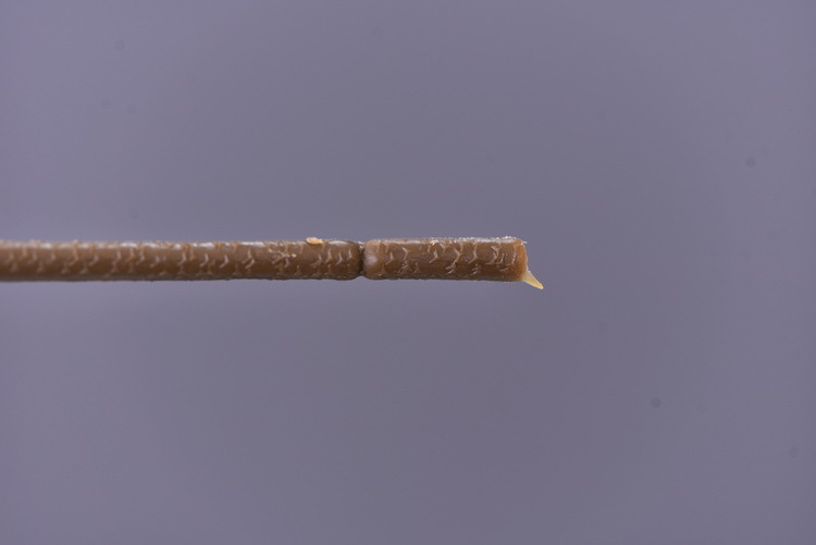 Factory wholesale of 5-head simulated rose with charred edges, retro Greek rose, living room, hotel and homestay photography props rose pic 38