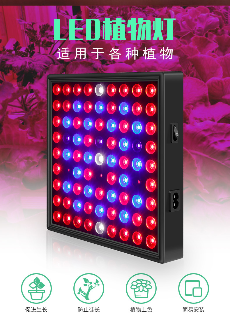 谦润照明100W植物灯LED80W多肉补光2000W温室灯大棚50W大功率400W详情8