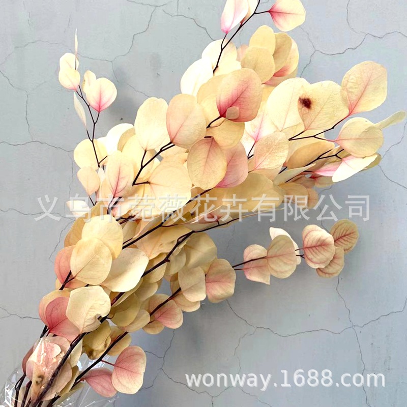 微信图片_20201116133314