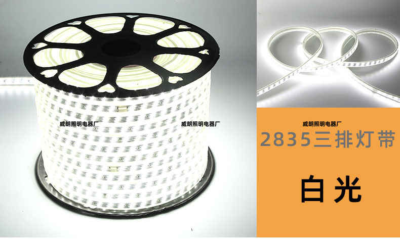 Высокое давление 5050/rgb2835 неоновая водонепроницаемая 220v мягкая силиконовая лампа с оптовой внешней полосой 5730 pic 9