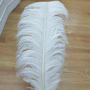 The feather fan is a special prop for the dance performance of the ostrich-colored feather fan used by the palace film crew pic 18