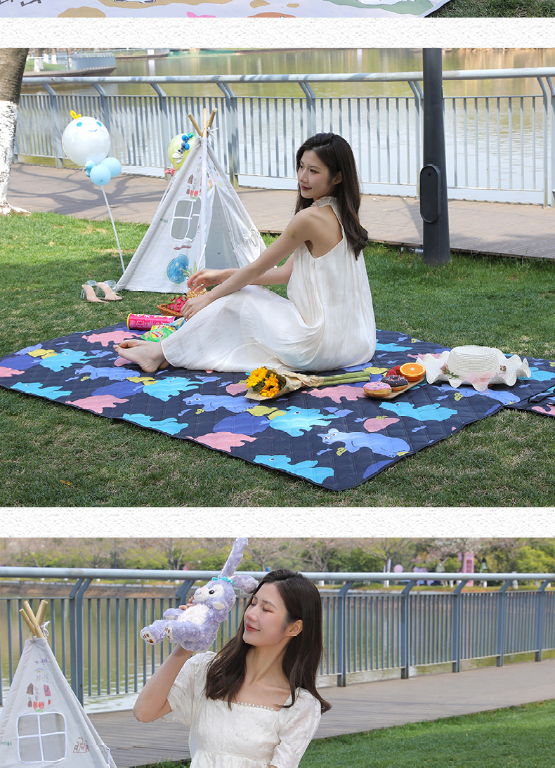 春游野餐垫防潮户外露营便携防水加厚野炊郊游地垫草坪沙滩垫现货详情17