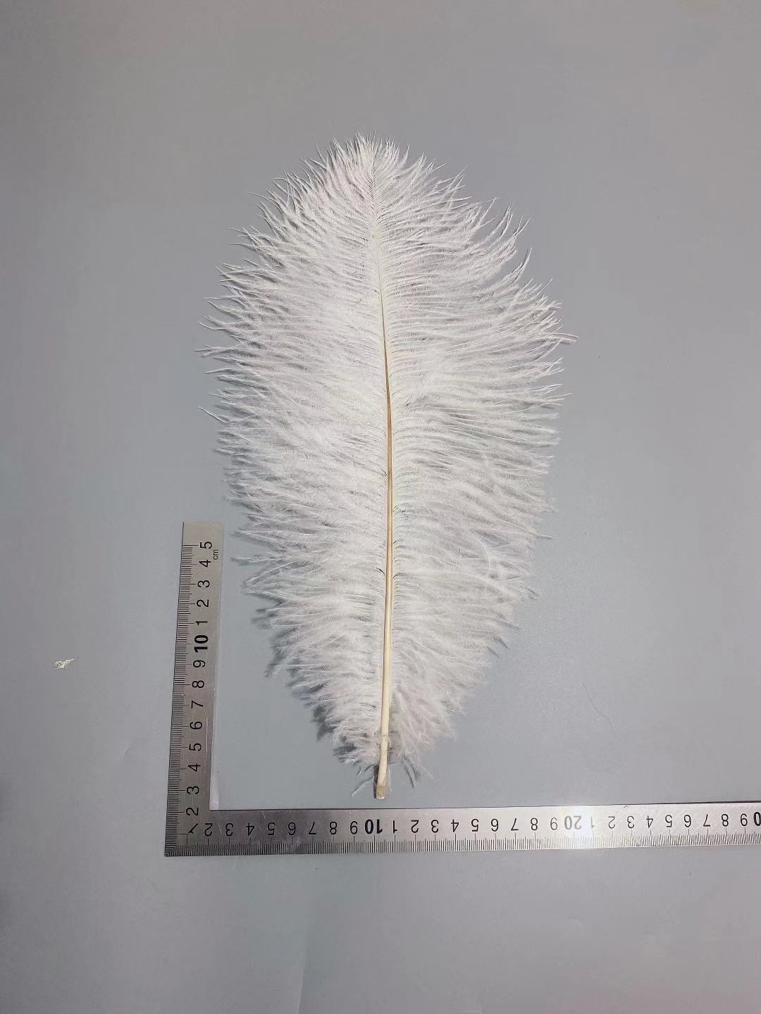 Factory stock: 35-40 cm ostrich feathers for wedding decoration, home decoration, table lamp feathers pic 40