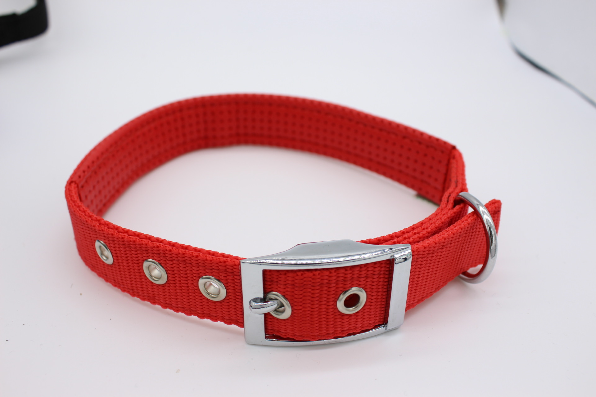 Wholesale of pet supplies: small, medium and large dog collars, color-blocked neck collars, color-blocked PP foam pic 14