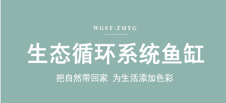 Ecological bottle micro-landscape, small office desktop, fish tank landscaping, fighting fish, glass tank, aquarium living room creativity pic 1