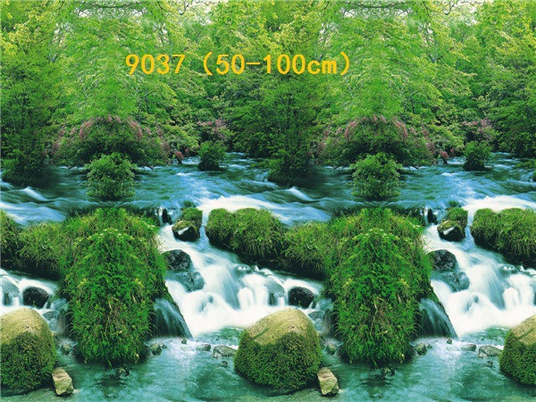 Wholesale production of 60cm high single-sided thin paintings, various ecological aquarium background paintings. Craft paintings. Aquarium equipment pic 59