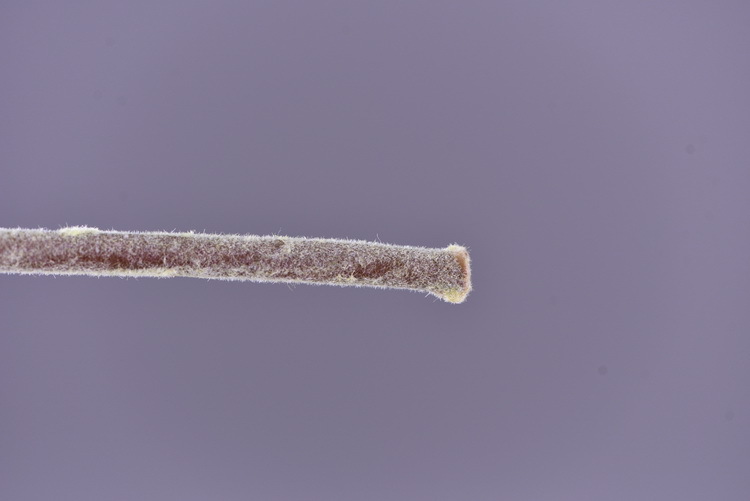 Dongli Flower Industry Factory directly sells artificial roses, ice mountain roses, home furnishings, hotels, shopping malls, wedding decorations, artificial flower bouquets, and high-end ornaments pic 31