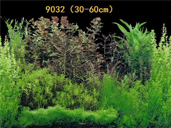 30cm tall, single-sided thin aquarium fish tank background painting, aquarium equipment and supplies glass sticker background painting pic 48