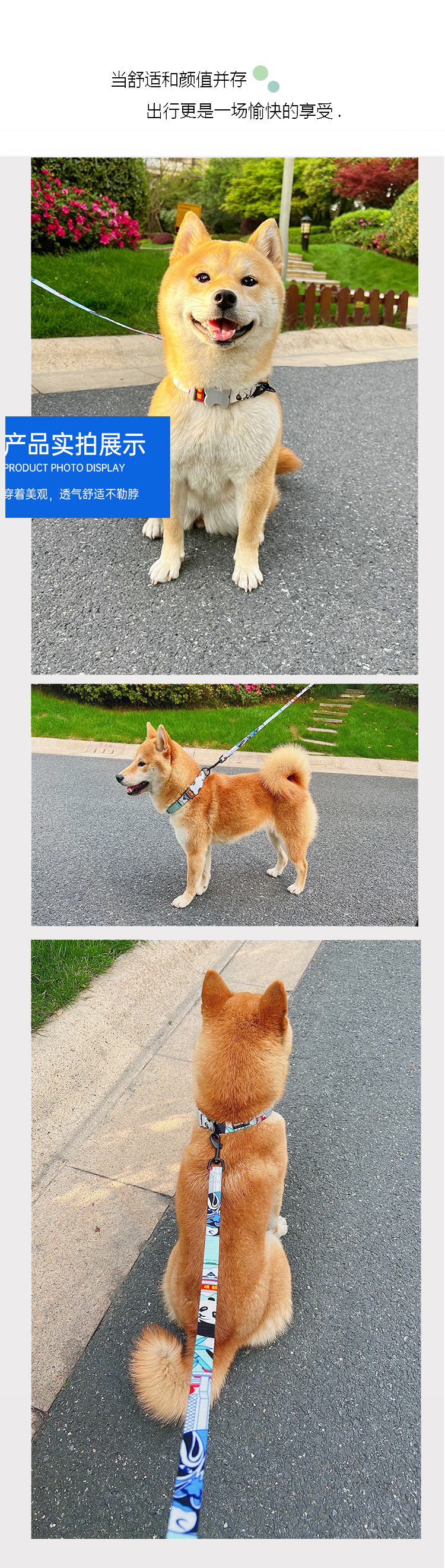 Factory direct sales of pet supplies, dog polyester Chengdu Panda collars, medium and large-sized dog travel ropes, anti-explosion impact pic 8