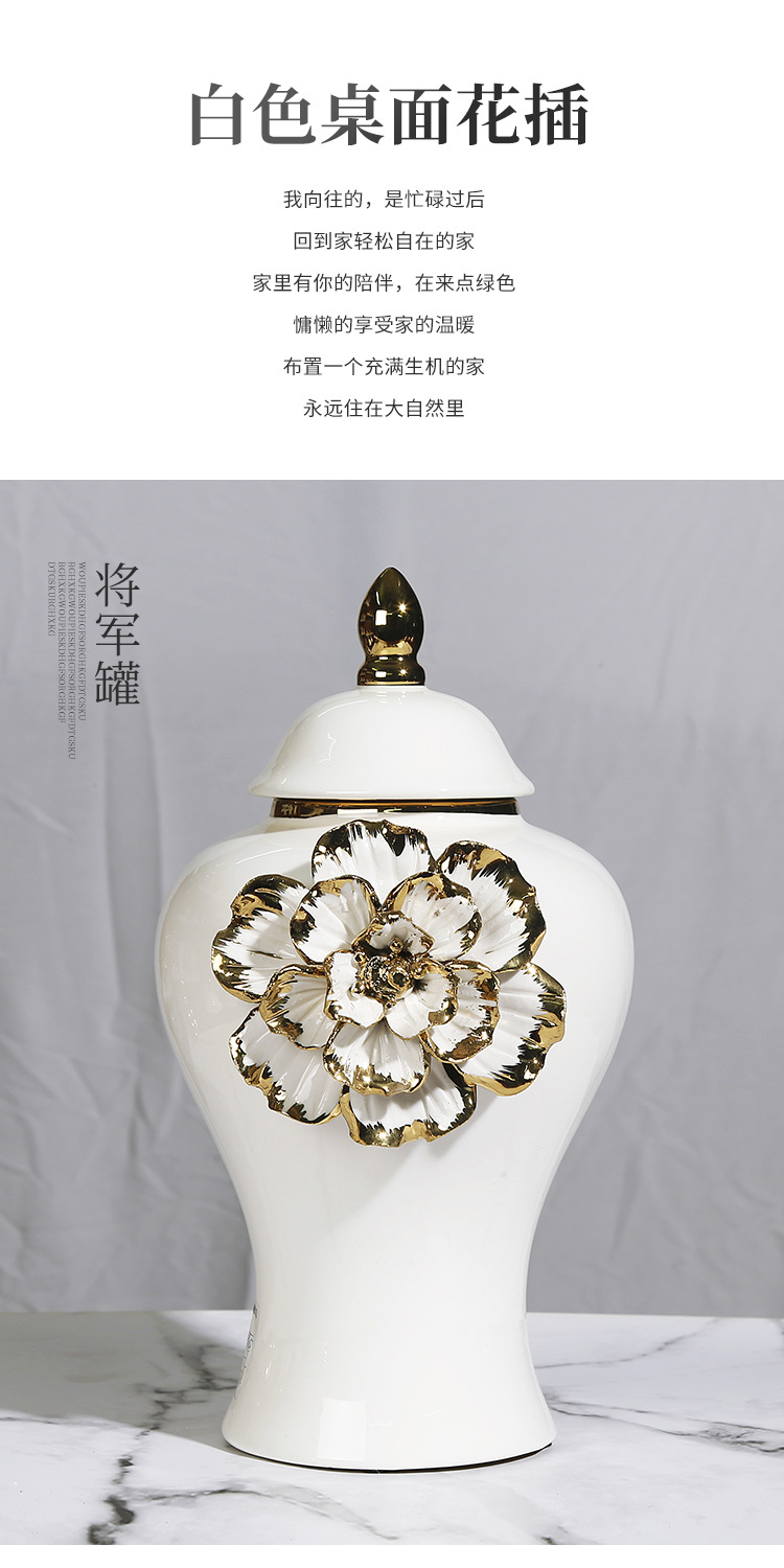 New ceramic electroplated decal golden general jar, European-style flower arrangement vase, handicraft display item, decorative storage jar pic 3