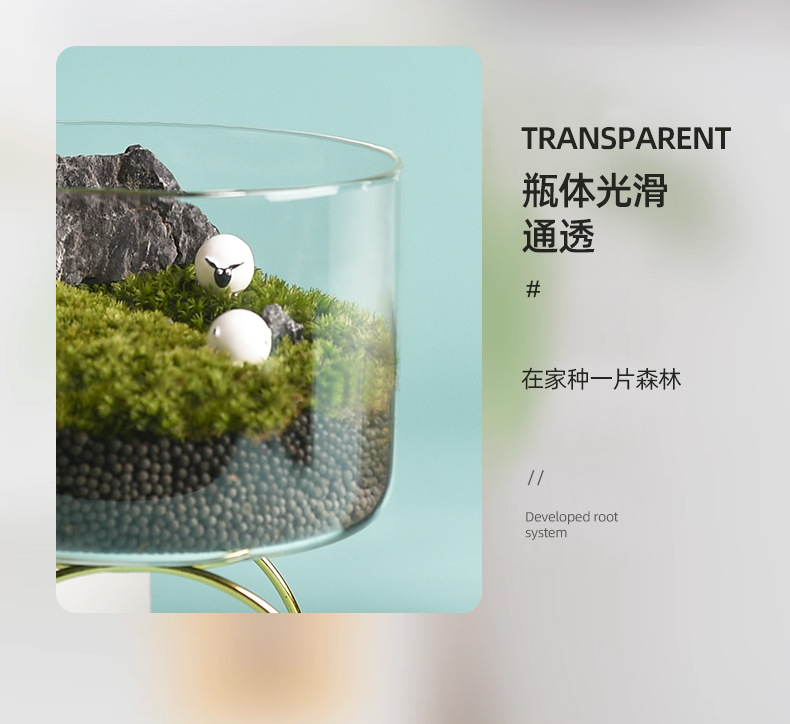 Wholesale transparent micro-landscape glass vase ornaments, hydroponic ecological bottles, diy moss tanks, succulent flower POTS, glass jars pic 14