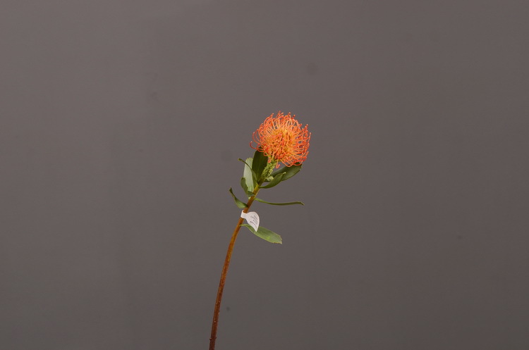 Factory direct sales, wholesale of in-stock inventory of artificial large needle cushion flowers, artificial flower sets, wholesale of living room, dining table, entrance hall, desktop decoration, flower arrangement and ornaments pic 35