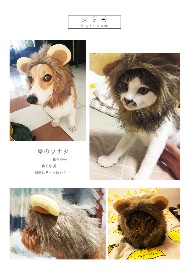 Pet hats, fun and funny, cute cat hats, durable, funny lion head covers, dog accessories, pet head ornaments pic 4
