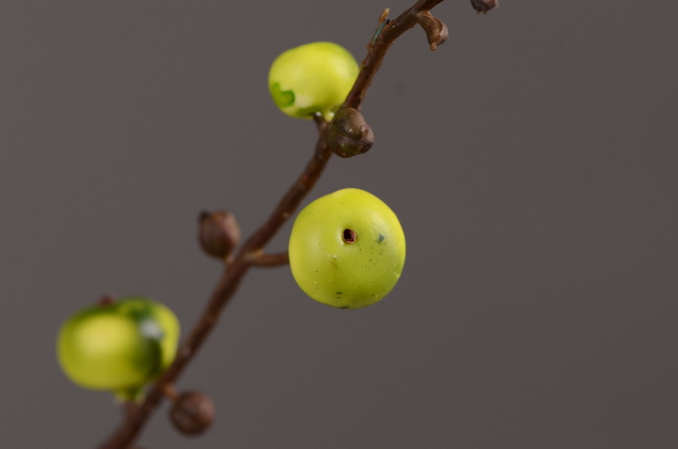 Artificial rosehip, artificial plant fruit, berry, American decorative floral arrangement materials, photography props pic 29