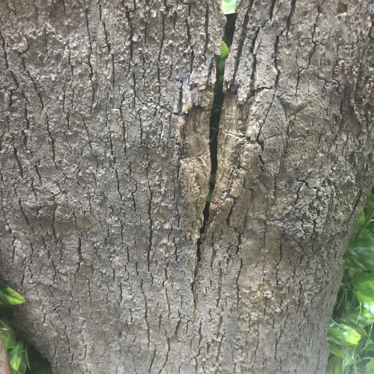 Simulated tree bark, original farm landscape, natural tree bark, real wood veneer, water pipe, column decoration, tree bark pic 16