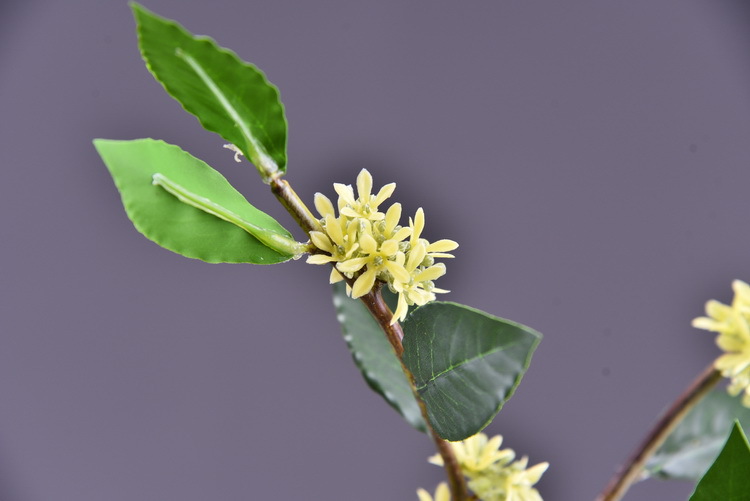 Wholesale artificial yellow osmanthus and laurel, green landscape garden artificial trees, decorative golden osmanthus leaves, home, hotel and homestay artificial flowers pic 31