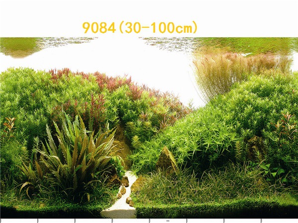 30cm tall, single-sided thin aquarium fish tank background painting, aquarium equipment and supplies glass sticker background painting pic 70