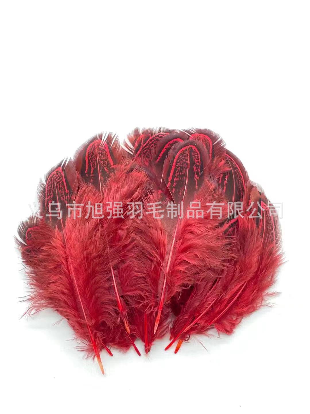 微信图片_20221025114600