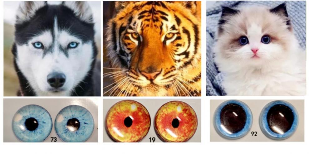 手工猫眼龙号人偶配件扭扭眼睛动物玩偶蓝色96羊毛毡眼珠diy73详情5