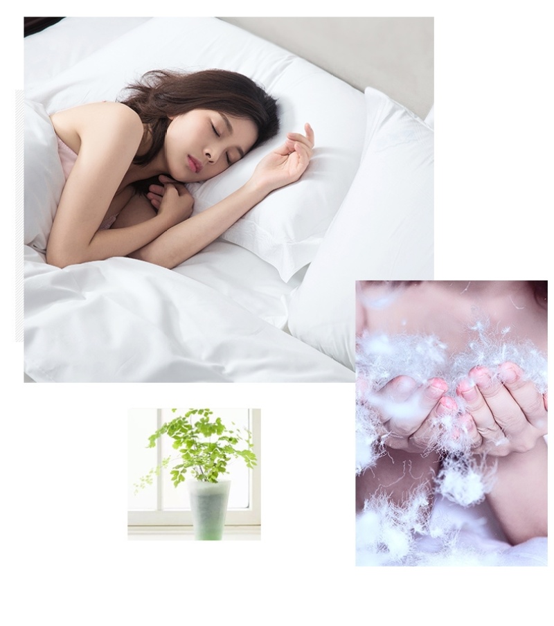 Five-star hotel faux goose down quilt core autumn and winter quilt, hotel faux down quilt soft, comfortable, thickened, warm, super light pic 21