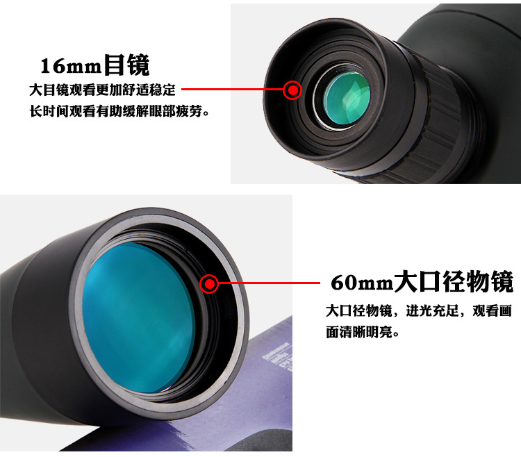 瑙傞笩闀淿08