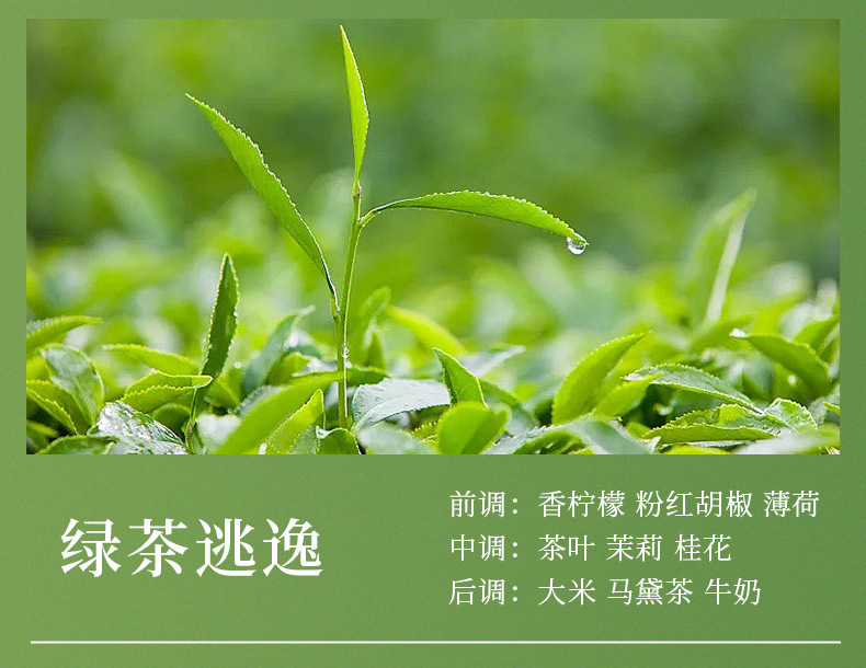 YIWXIU液体无火香薰精油酒店卫生间空气清新剂生日礼物伴手礼批发详情28