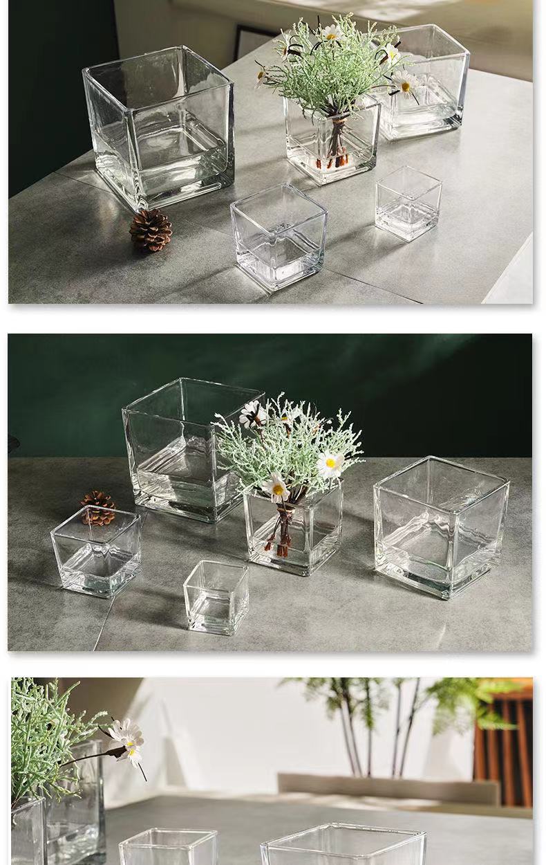 Glass square VAT, square glass flowerpot, hydroponic container, transparent multi-purpose square VAT, green vine plant, multi-functional hydroponic vase, fish tank pic 5