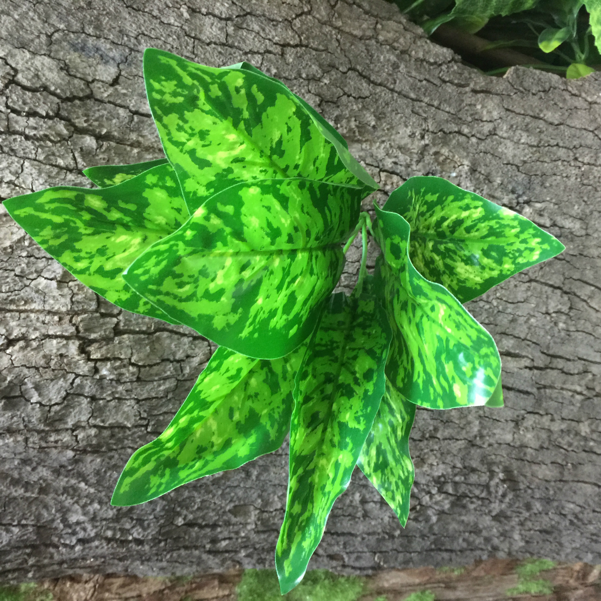 Artificial flowers, artificial lawns, artificial trees, artificial flower, artificial lawn, artificial tree manufacturers, artificial magnolia leaves, artificial plant wall accessories, DIY small bonsai, green plants, hand-held leaves, plant walls, artificial flowers, artificial lawns, artificial trees pic 5